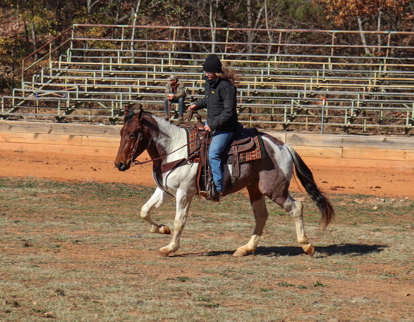 Auction Information Dixie Horse Auction Ltd.