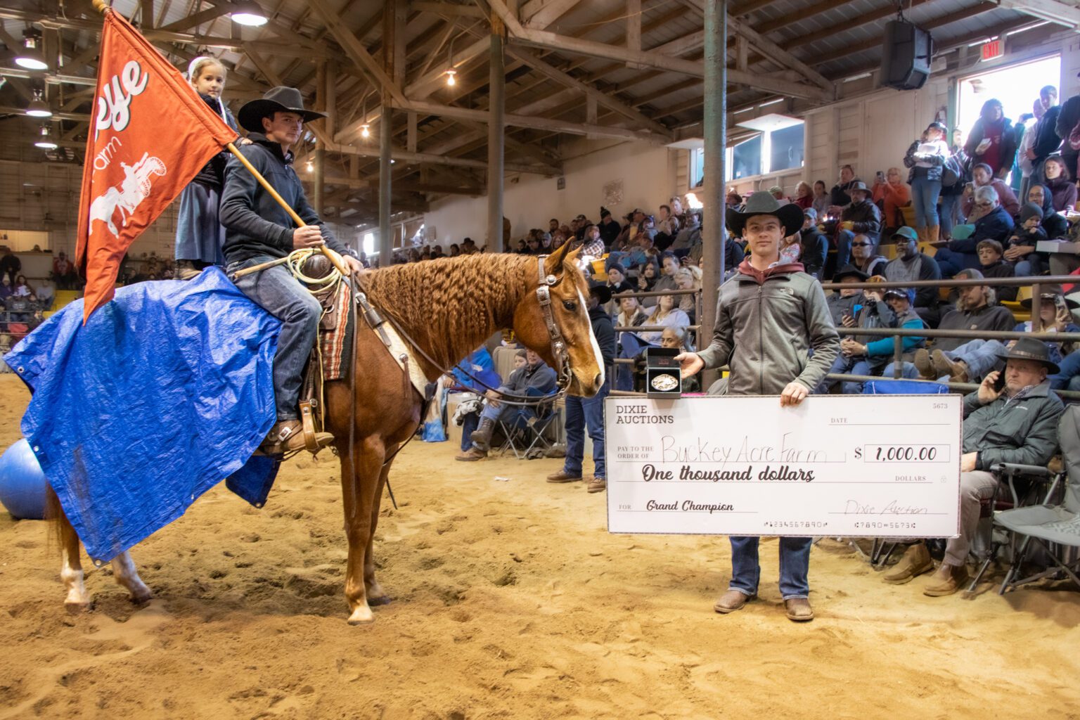 Trail Horse Competition Dixie Horse Auction Ltd.